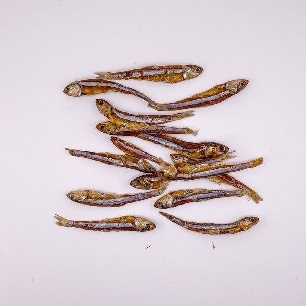 Anchovies