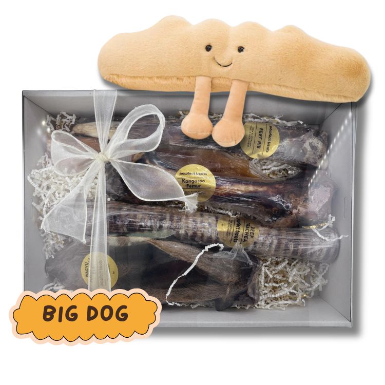 Dental Pack - BIG DOG