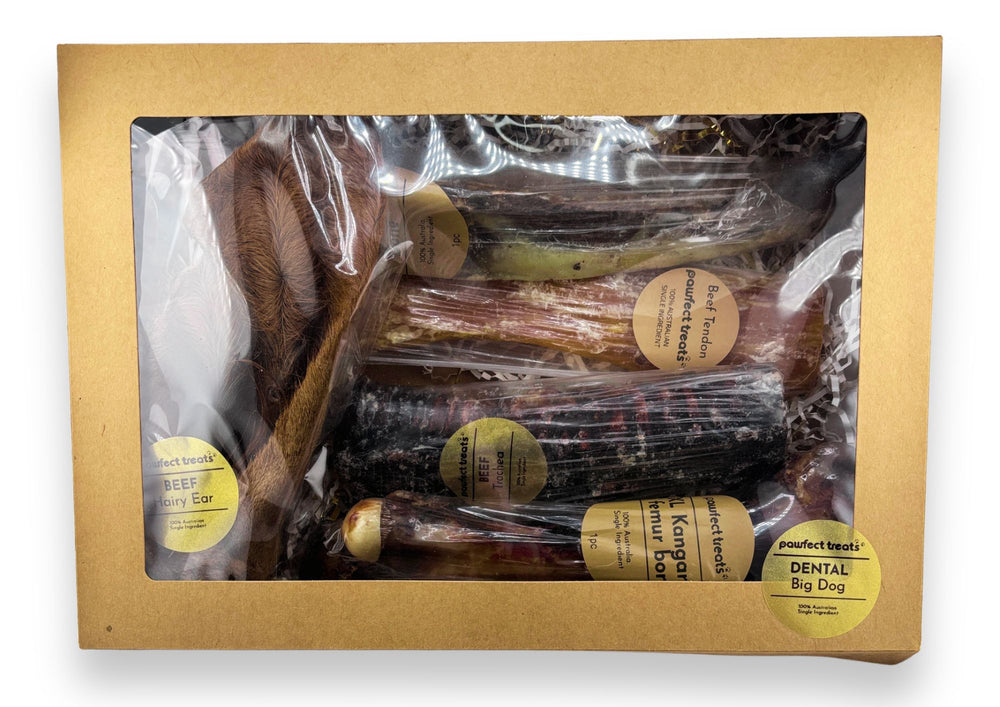 Dental Pack - BIG DOG — 1