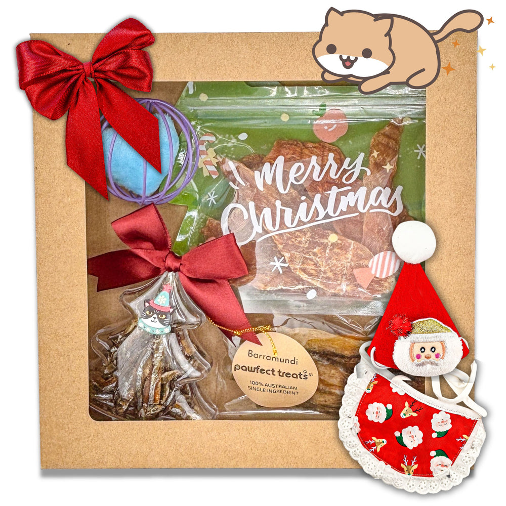 Christmas Kitty Pack — 1