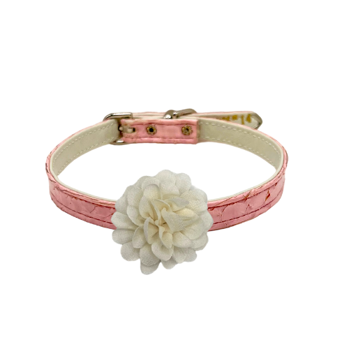 My Camellia Chiffon Flower Dog Collar: WHITE / 14"