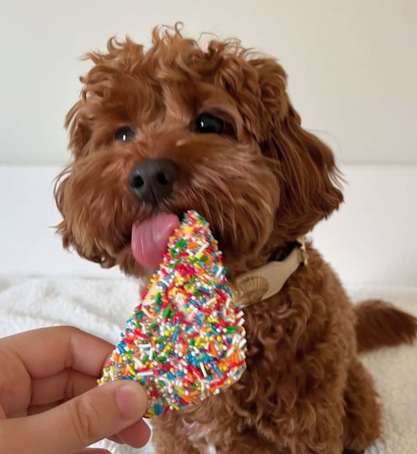 Doggy Fairy Bread — 1
