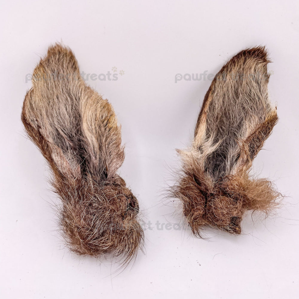 Furry Kangaroo Ear (5/10pcs) — 1