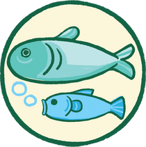 Fish & Seafood