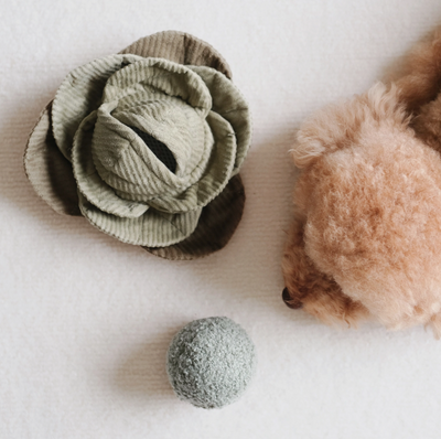 Toys And Play