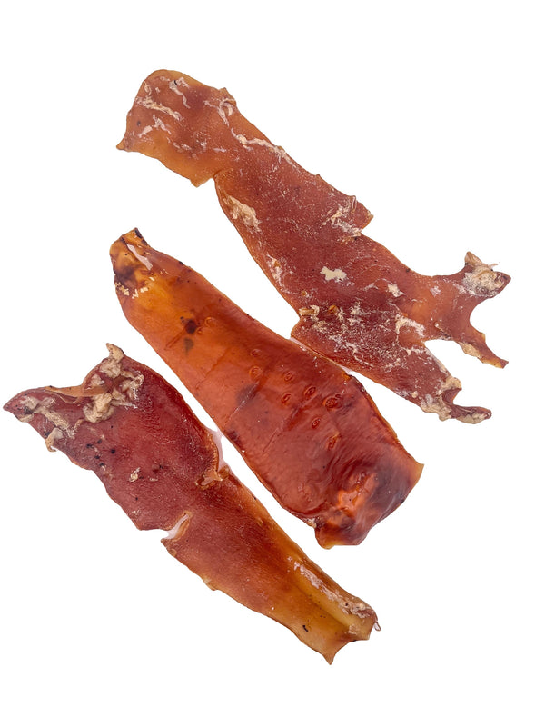 Beef Aorta — 1