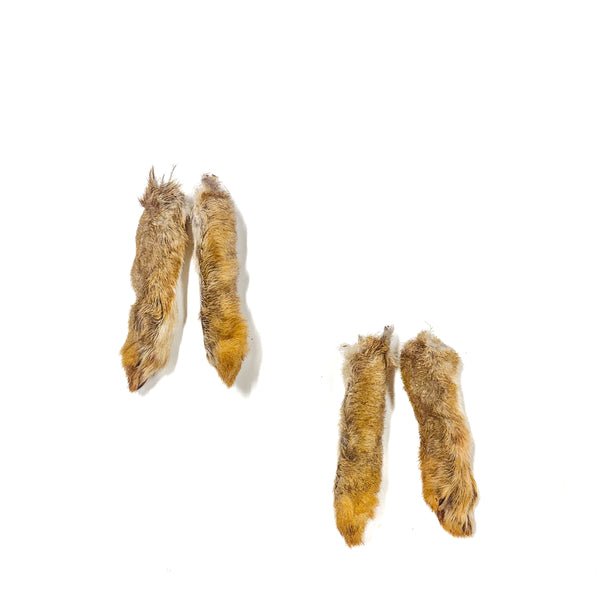Wild Rabbit Feet w/ Fur - Back LARGE — 1