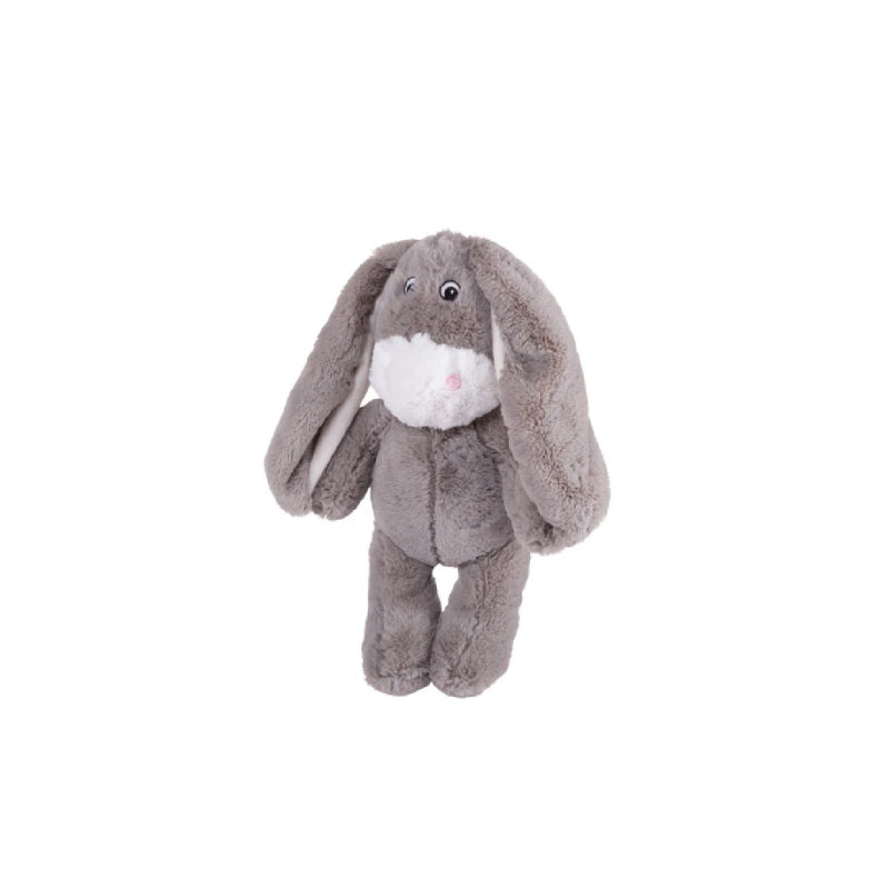 Large Long Ear Donkey