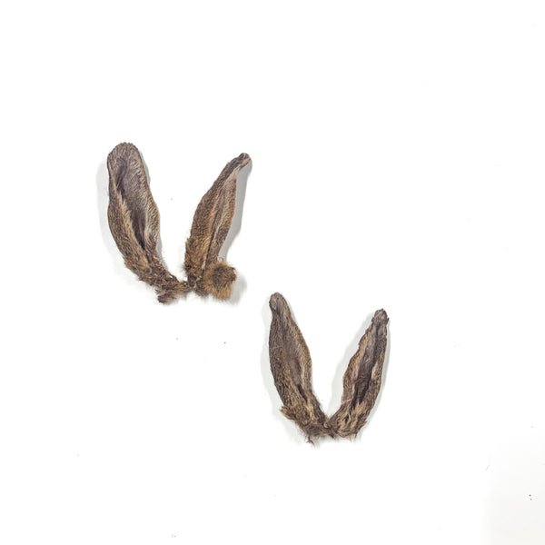 Rabbit Ears w/ Fur - 10pc — 1