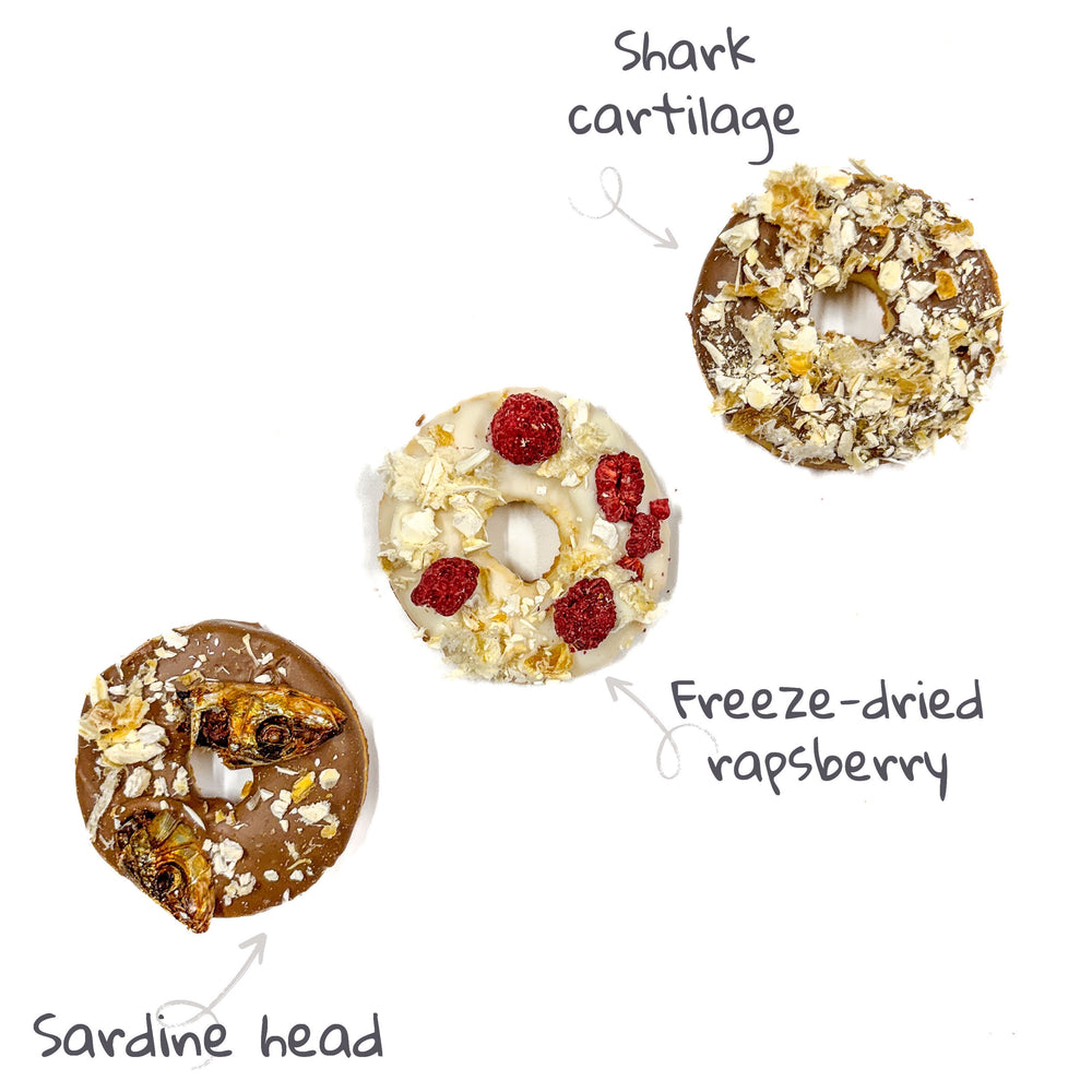 Nutri Donut - 1pc — 1