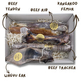 Dental Pack - BIG DOG
