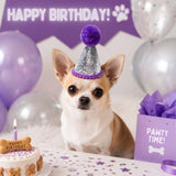 Party Hat