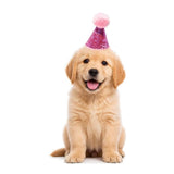 Party Hat