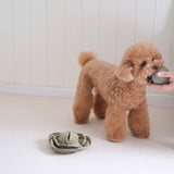 CABBAGE POP // ENRICHMENT DOG TOY // Squeaky + Snuffle Ball: Red / Medium