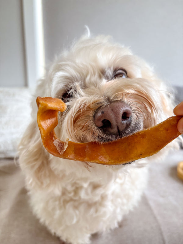 Australian Pig Ear Strips — 1