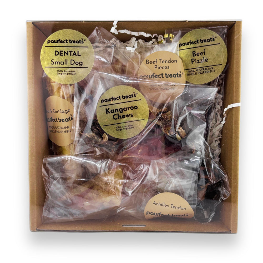 Dental Pack - SMALL DOG — 1