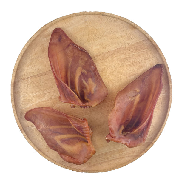 Australian Pig Ear with Canal - 25% Bigger — 1