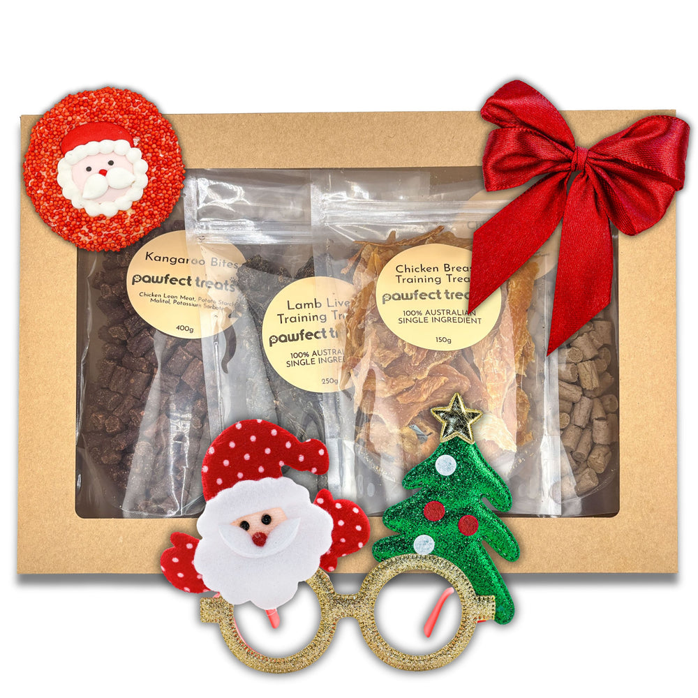 Christmas Training Treat Pack — 1