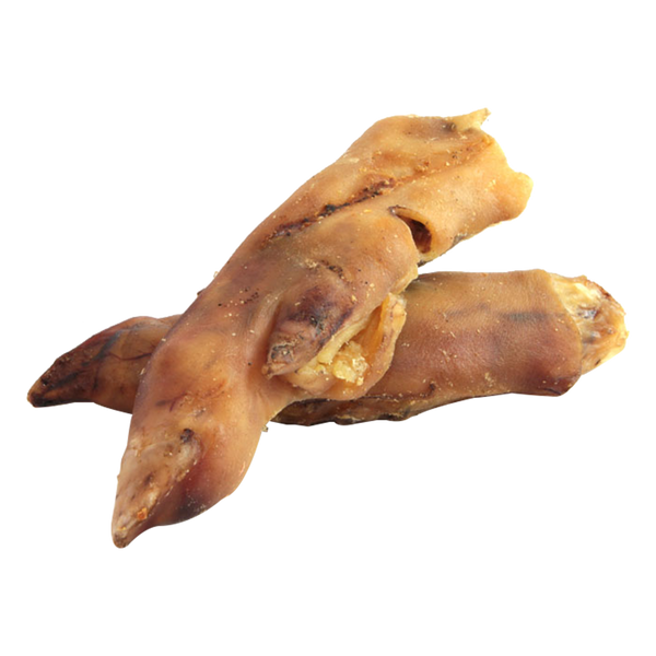 Australian Pig Trotter XL