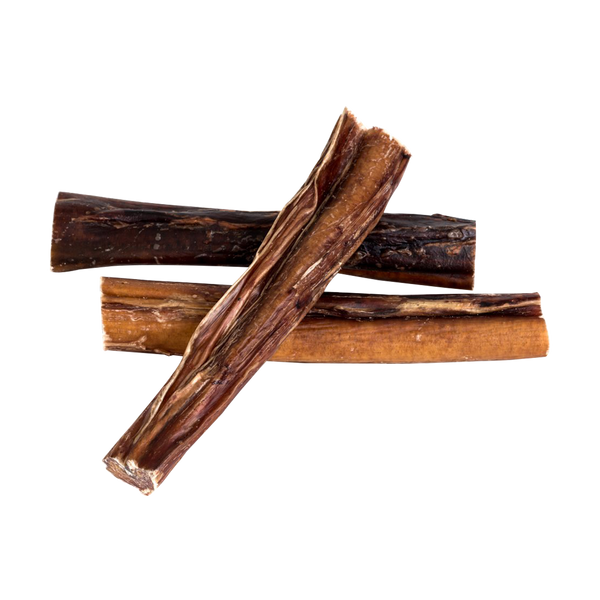 Bull Chew - Small 15cm — 1