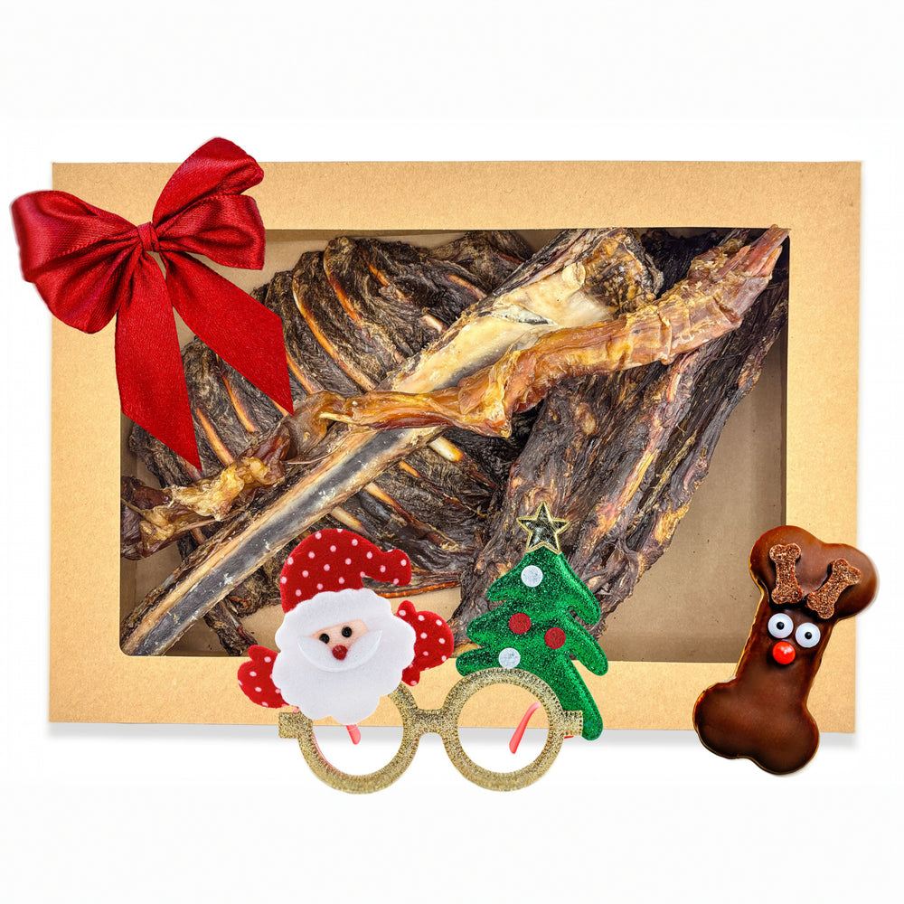 Christmas Big Dog Pack — 1