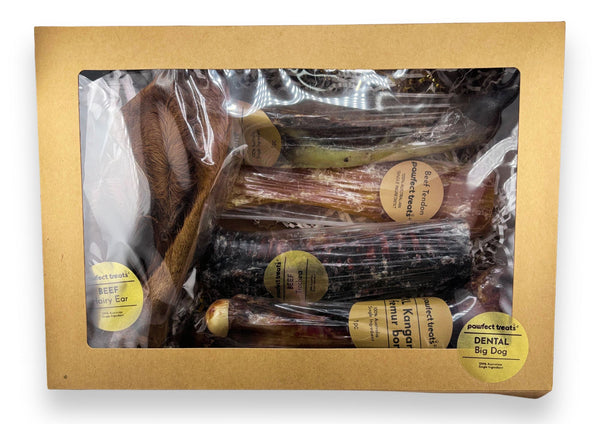 Dental Pack - BIG DOG — 1