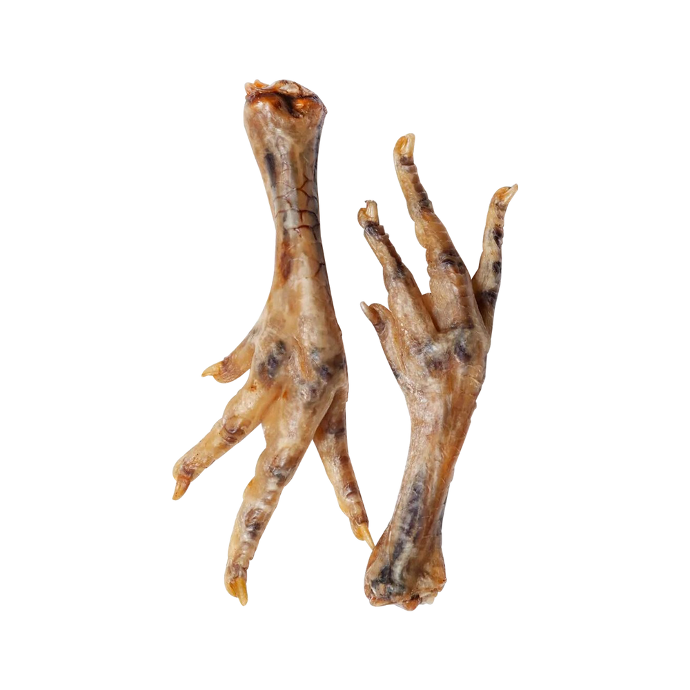 Chicken Feet — 1
