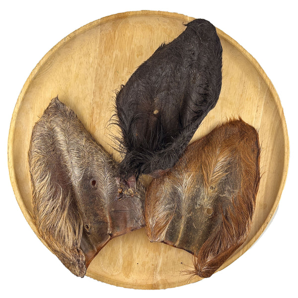 Wagyu Hairy Cow Ear — 1