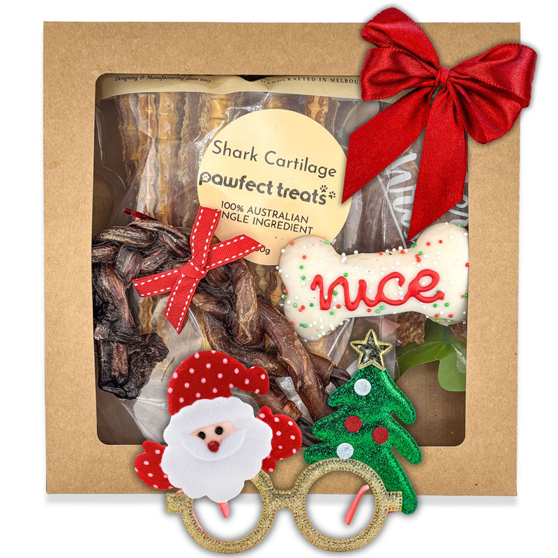 Christmas Nice Dog Pack — 1