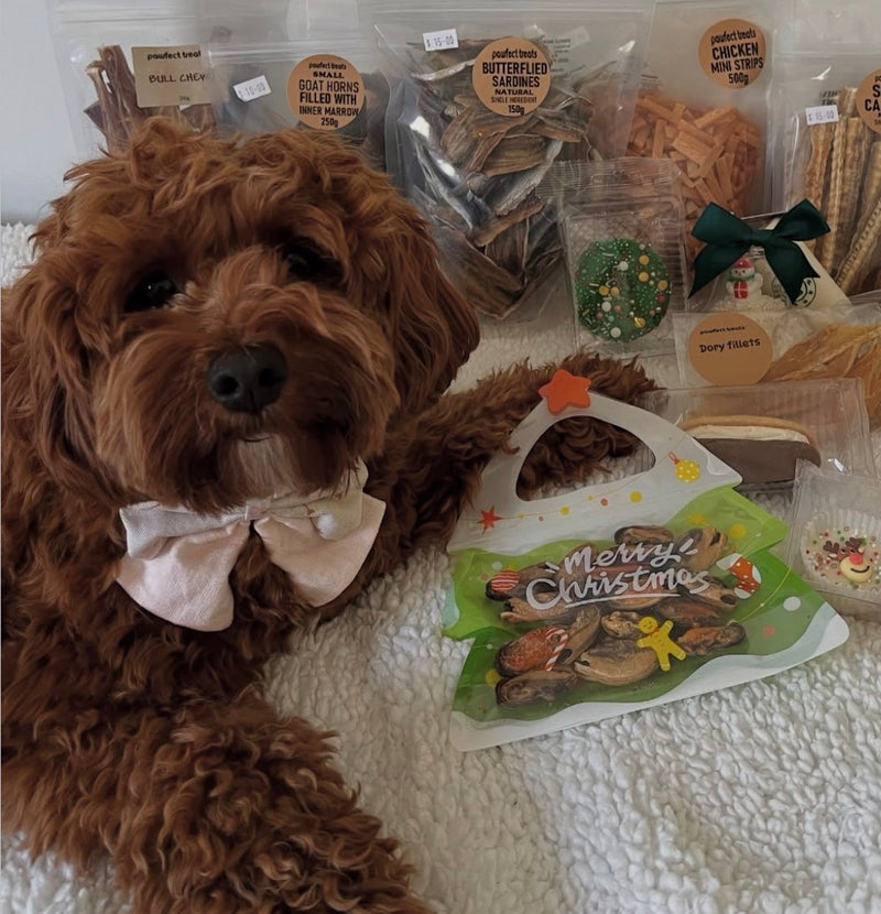 Premium Christmas Treat Tote
