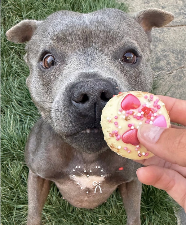 Pawfect Love Doggy Cupcake 2pk — 1