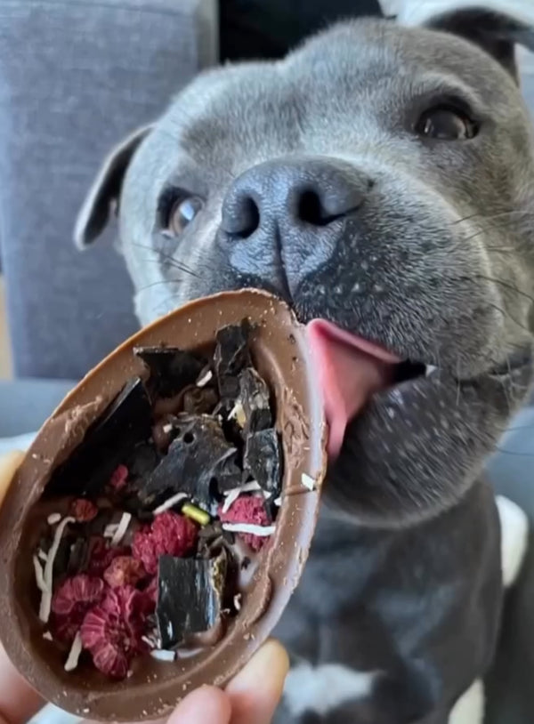 Easter Egg w/ mixed Protein — 1