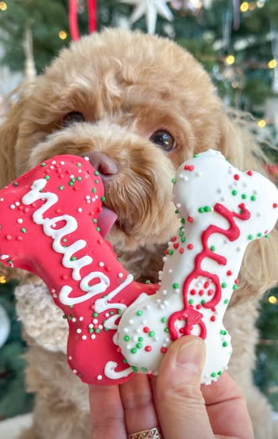 Christmas Naughty Cookie — 1