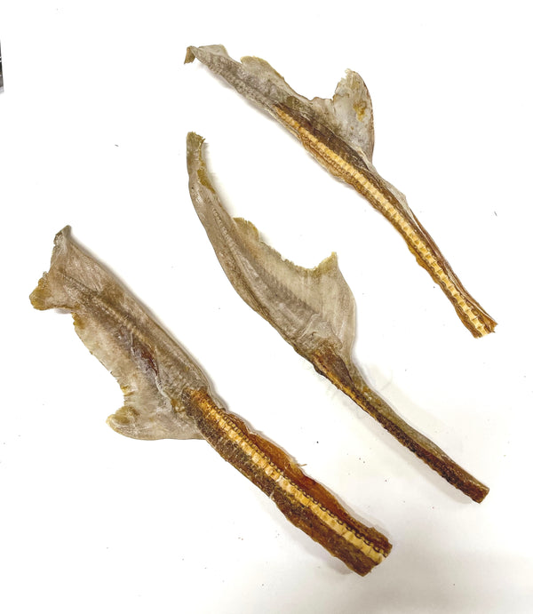 Shark Tail - 500g — 1