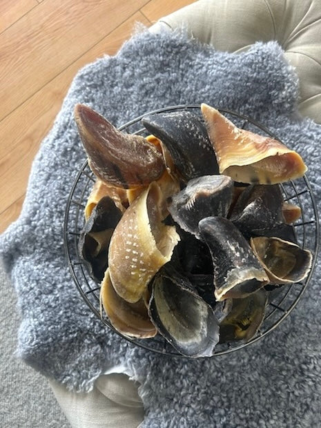 Cow Hooves (1pc/5pcs) — 1