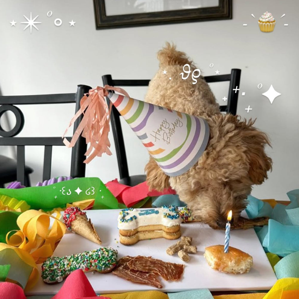 3-Tiered Birthday Bone Cake - 10cm — 1