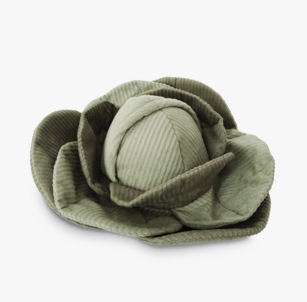 Cabbage Pop Enrichment + Squeaky Snuffle Ball Dog Toy