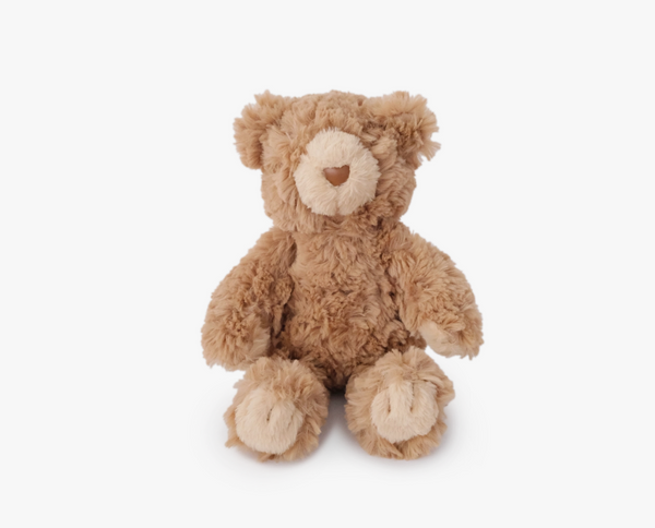 Teddy Cuddle + Squeaky Dog Toy