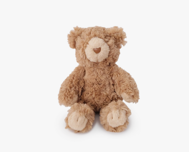 Teddy Cuddle + Squeaky Dog Toy