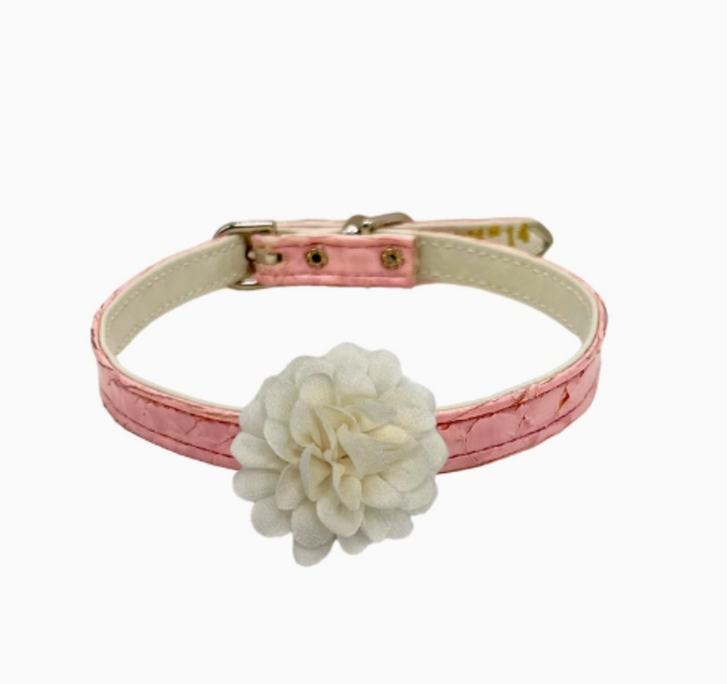 My Camellia Chiffon Flower Dog Collar