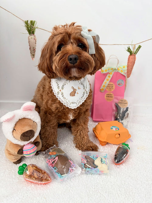 @pawfecttreatsau post