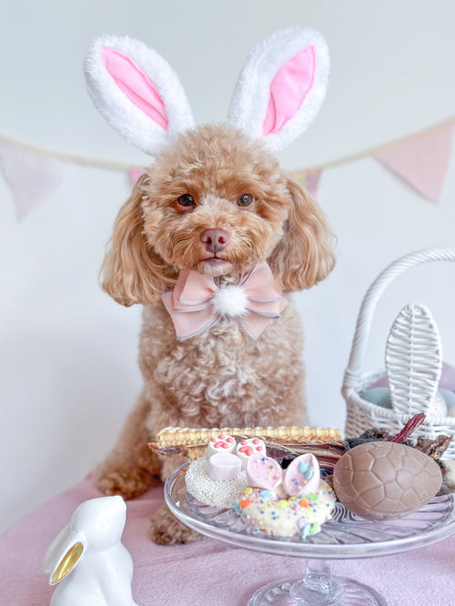 @pawfecttreatsau post