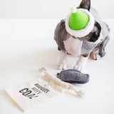 NAUGHTY KITTY COAL - CATNIP TOY