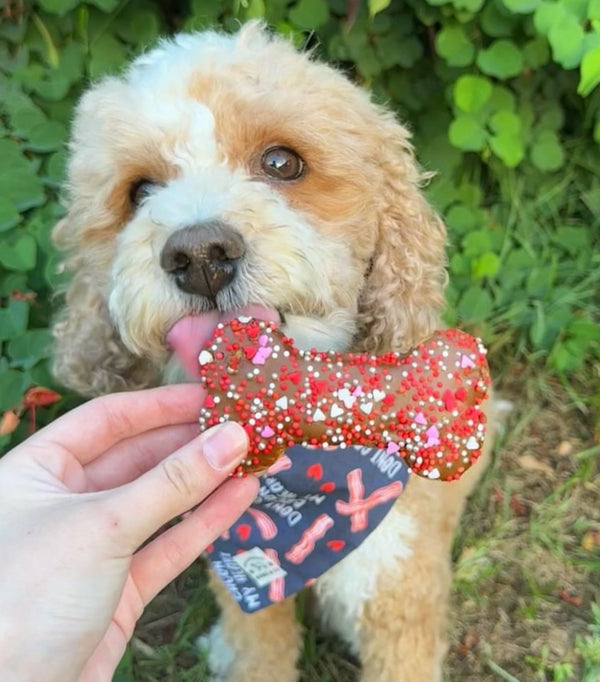 Pawfect Love Doggy Bone Biscuit — 1