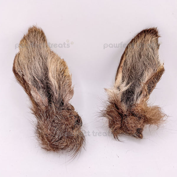 Furry Kangaroo Ear  (5/10pcs) — 1