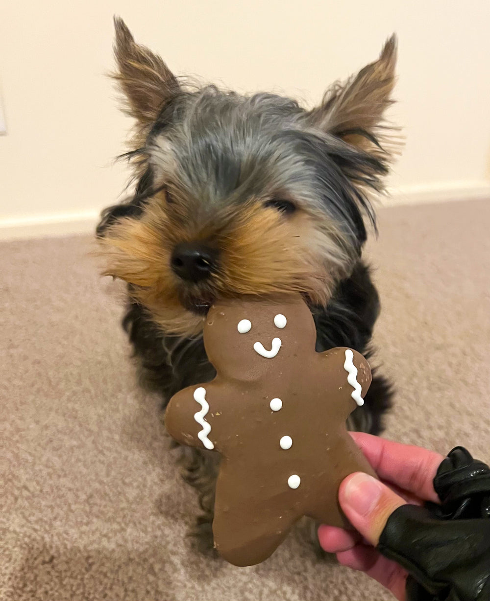 Christmas Gingerbread Cookie 2pk — 1