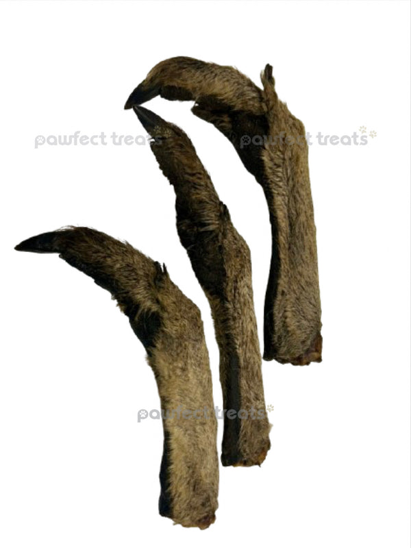 Kangaroo Feet w/ Fur — 1