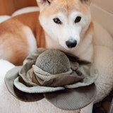 CABBAGE POP // ENRICHMENT DOG TOY // Squeaky + Snuffle Ball: Red / Medium