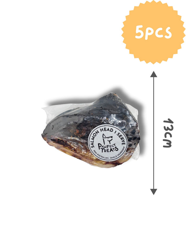 *BUNDLE* Salmon Head x 5pcs (Wholesale)