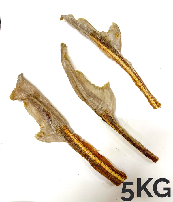 *BULK* Shark Tail - 5kg (Wholesale)
